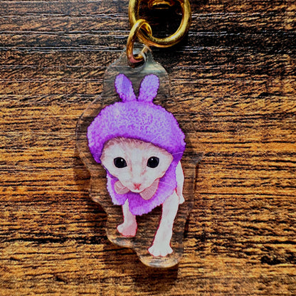 Scrunkly Kitty Keychains!